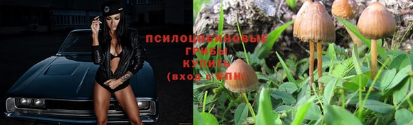 дживик Верея