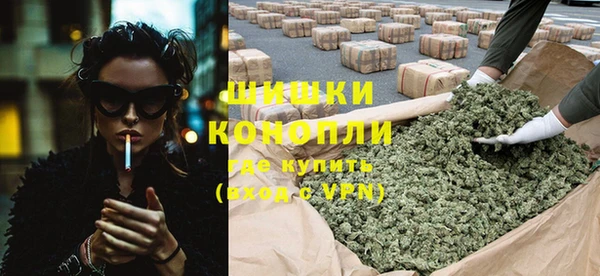 стаф Бородино