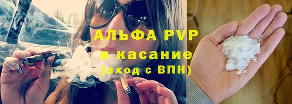 стаф Бородино